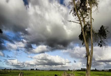 雷火电竞官方网站-基米希爆发引领战术革命，国际米兰淘汰赛智慧过关罗马