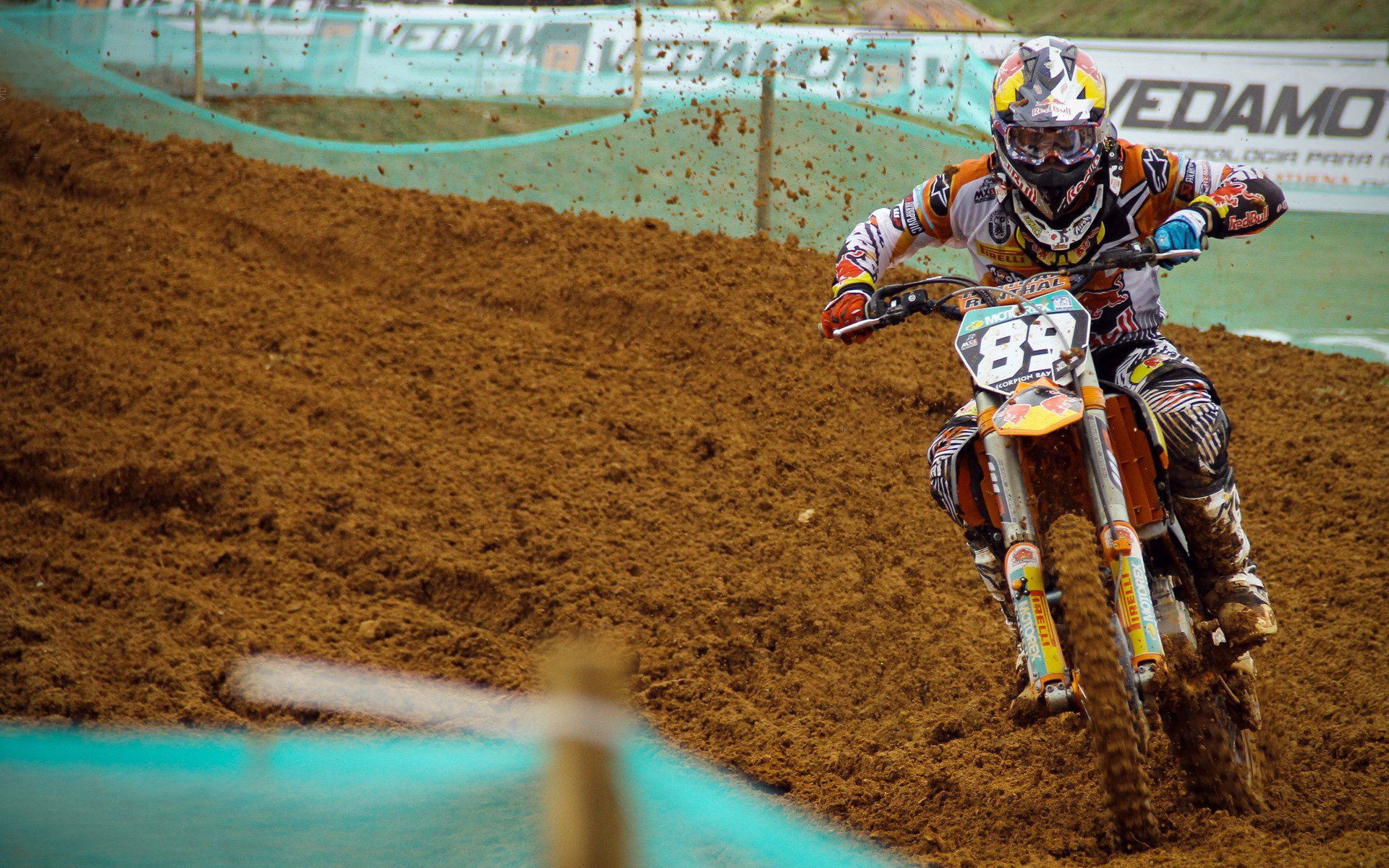 橙衣风暴中的北极星，加克波在美加墨世界杯之夜的关键觉醒